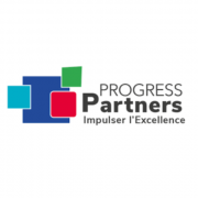 Consultant Manager Excellence Opérationnelle