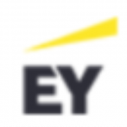 Auditeurs/Auditrices IT - Consultant(e)s Débutants en SI - Secteur Financier H/F