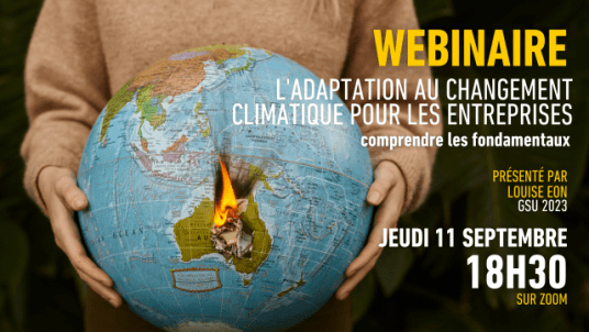 L'adaptation au changement climatique pour les entreprises : comprendre les fondamentaux